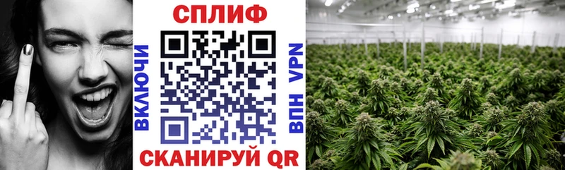 Где купить наркотики Данков ГАШ Бошки Шишки A PVP Мефедрон