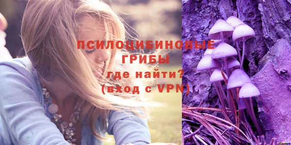 ECSTASY Нея
